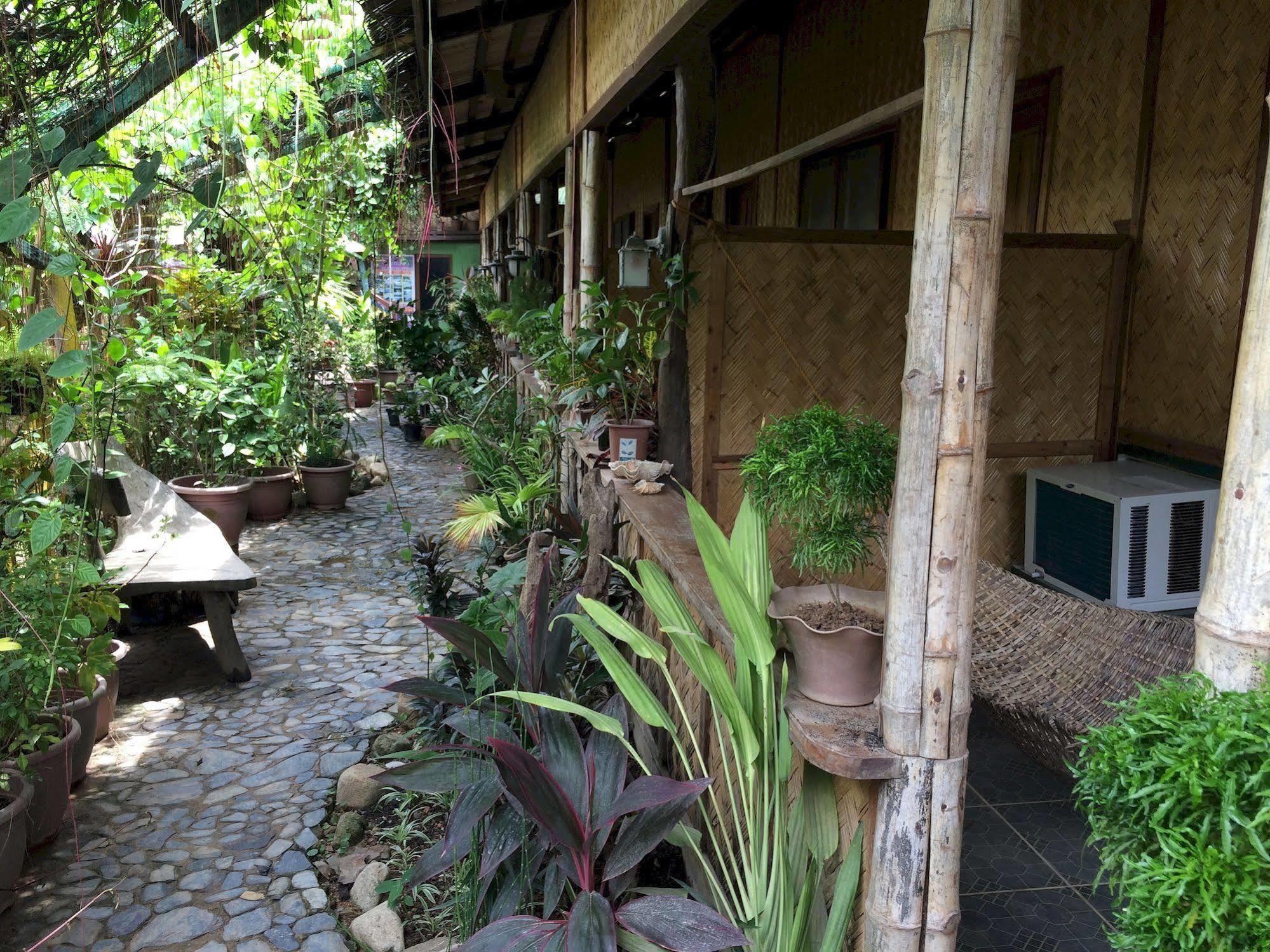 Bed and Breakfast Islandfront II El Nido Zewnętrze zdjęcie
