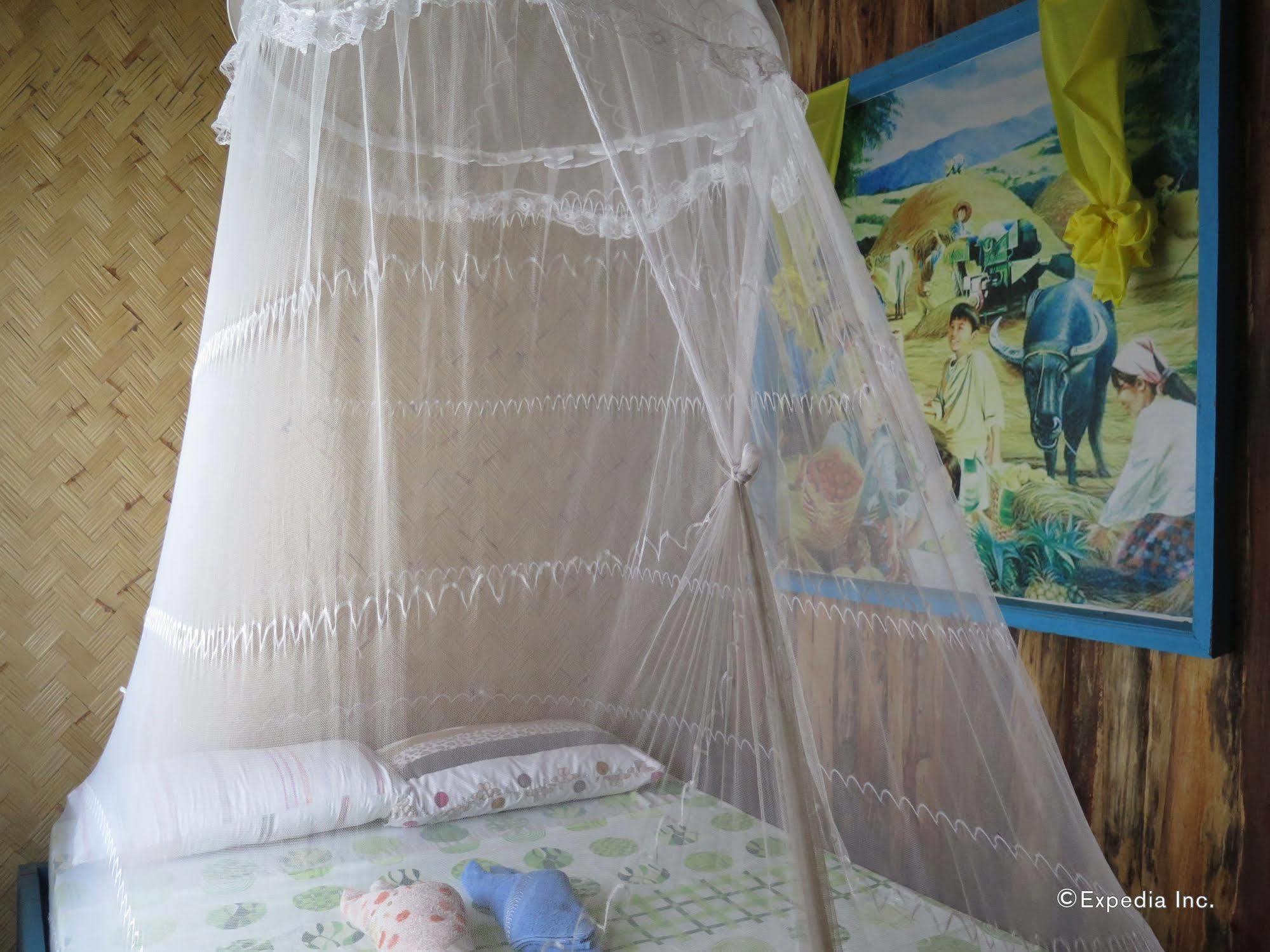 Bed and Breakfast Islandfront II El Nido Zewnętrze zdjęcie